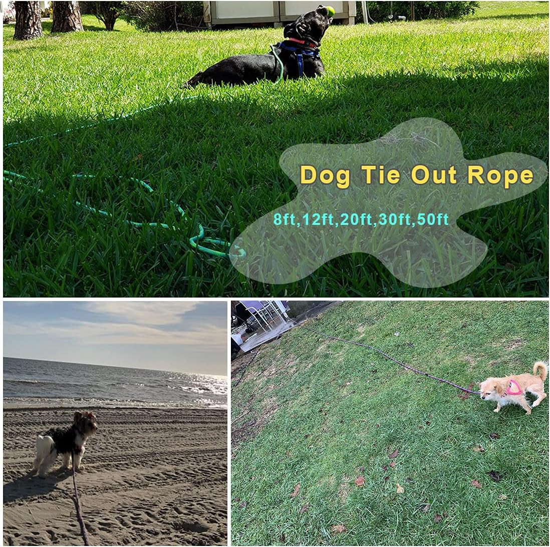 BTINESFUL 8Ft 12Ft 20Ft 30Ft 50Ft 75Ft Dog Tie Out Long Tether Rope Leash, Outdoor Yard Leash, Large Medium Small Dogs Training, Playing, Camping, Backyard (Green, 50 Foot)