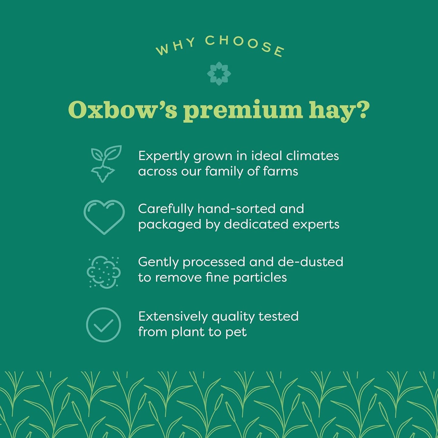 Oxbow Animal Health Western Timothy Hay, Guinea Pig Hay, Small Pet Bunny Supplies, All Natural Grass for Guinea Pig, Bunny, Chinchilla & Hamster, Oxbow Rabbit Supplies for Bunnies, 90 Oz. Bag