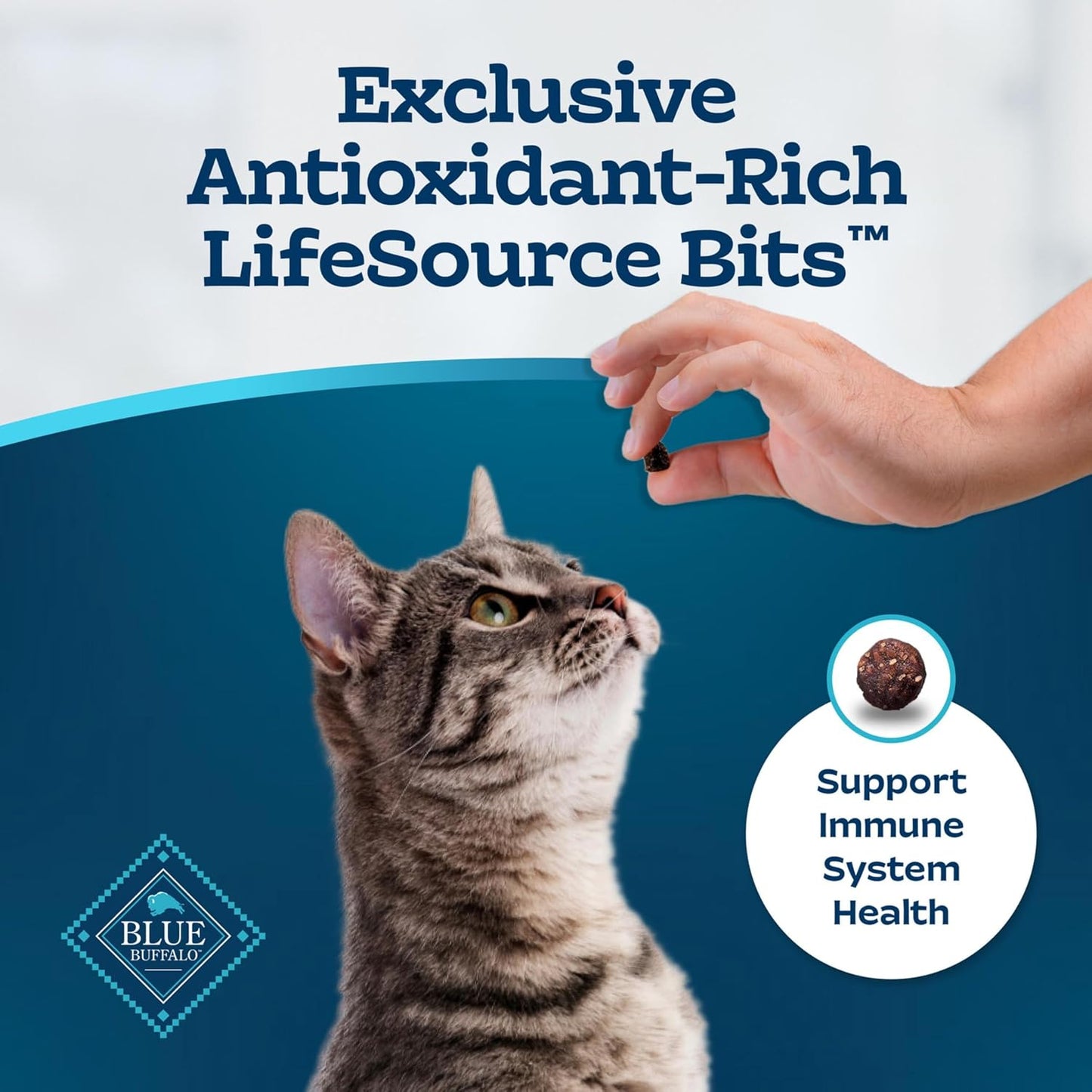 Blue Buffalo Tastefuls Natural Dry Food for Adult Cats, Sensitive Stomach, Chicken & Brown Rice Recipe, 15-Lb Bag