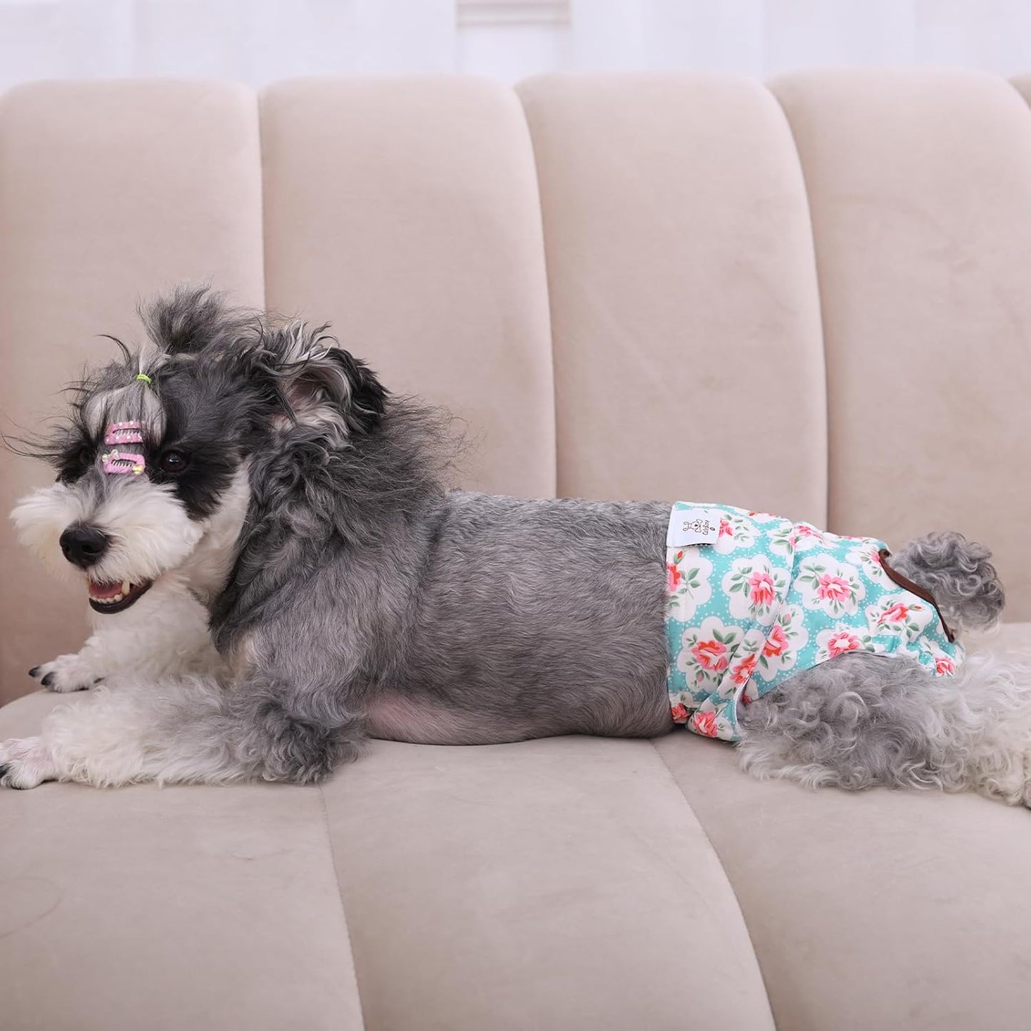 Cutebone Dog Diapers Female Washable Small Medium Large 3 Pack Reusable Doggie Diapers Puppy Period Pants for Doggy Heat Cycle Peeing D14XS