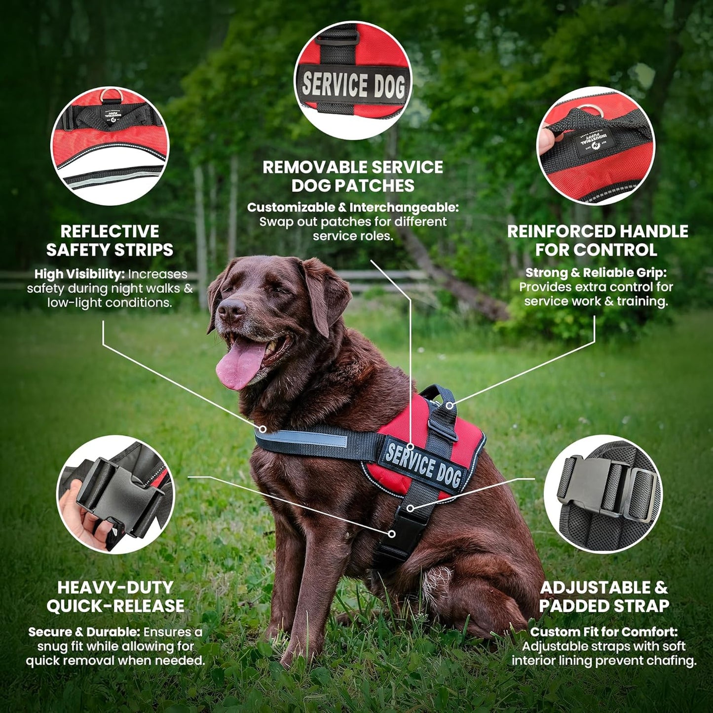 Industrial Puppy Service Dog Vest with Hook and Loop Straps and Matching Service Dog Leash Set - Harnesses from XXS to XXL - Harness Features Reflective Patch and Comfortable Mesh Design
