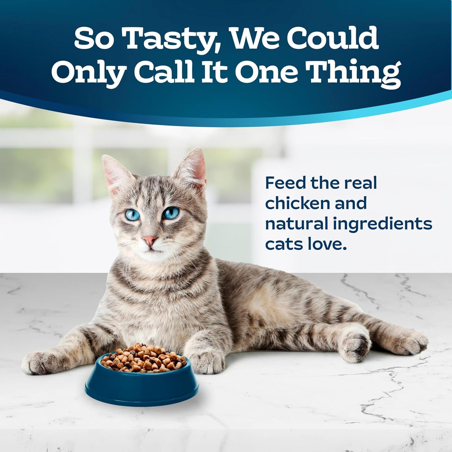 Blue Buffalo Tastefuls Natural Dry Food for Adult Cats, Sensitive Stomach, Chicken & Brown Rice Recipe, 15-Lb Bag