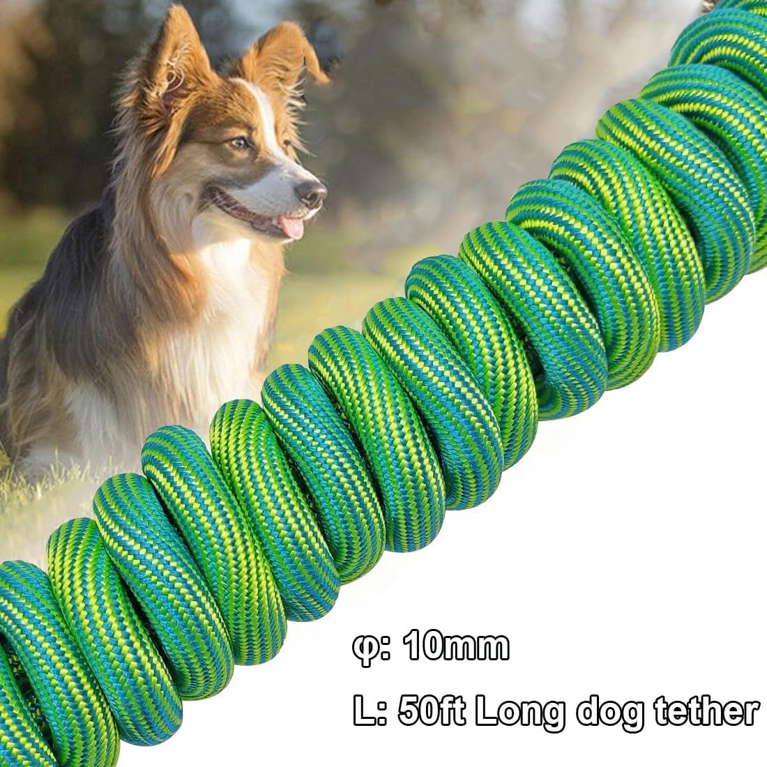 BTINESFUL 8Ft 12Ft 20Ft 30Ft 50Ft 75Ft Dog Tie Out Long Tether Rope Leash, Outdoor Yard Leash, Large Medium Small Dogs Training, Playing, Camping, Backyard (Green, 50 Foot)