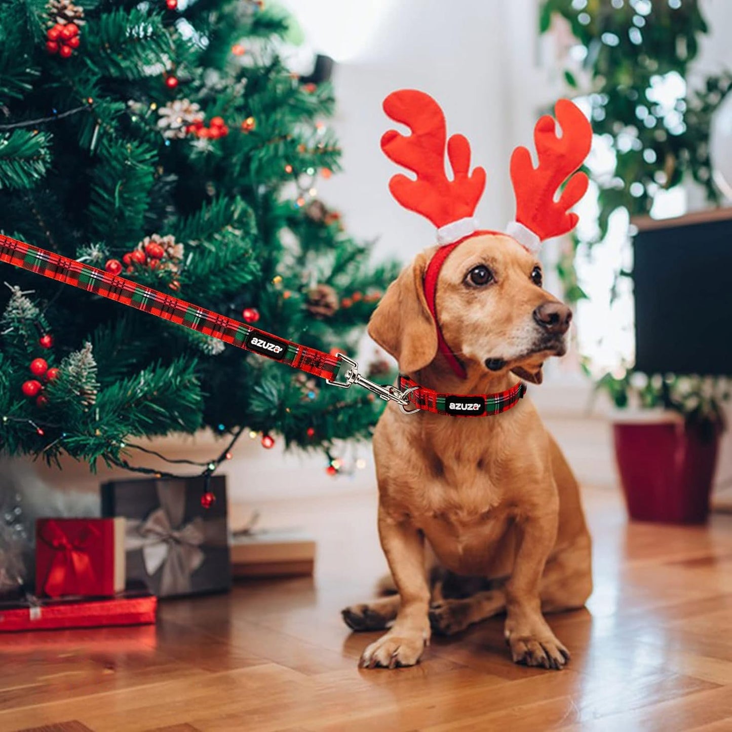 Azuza Christmas Dog Collar and Leash Set, Buffalo Plaid Dog Collar with Matching Leash for Small Dogs, Great for Christmas, New Year, Festivals and Daily Use
