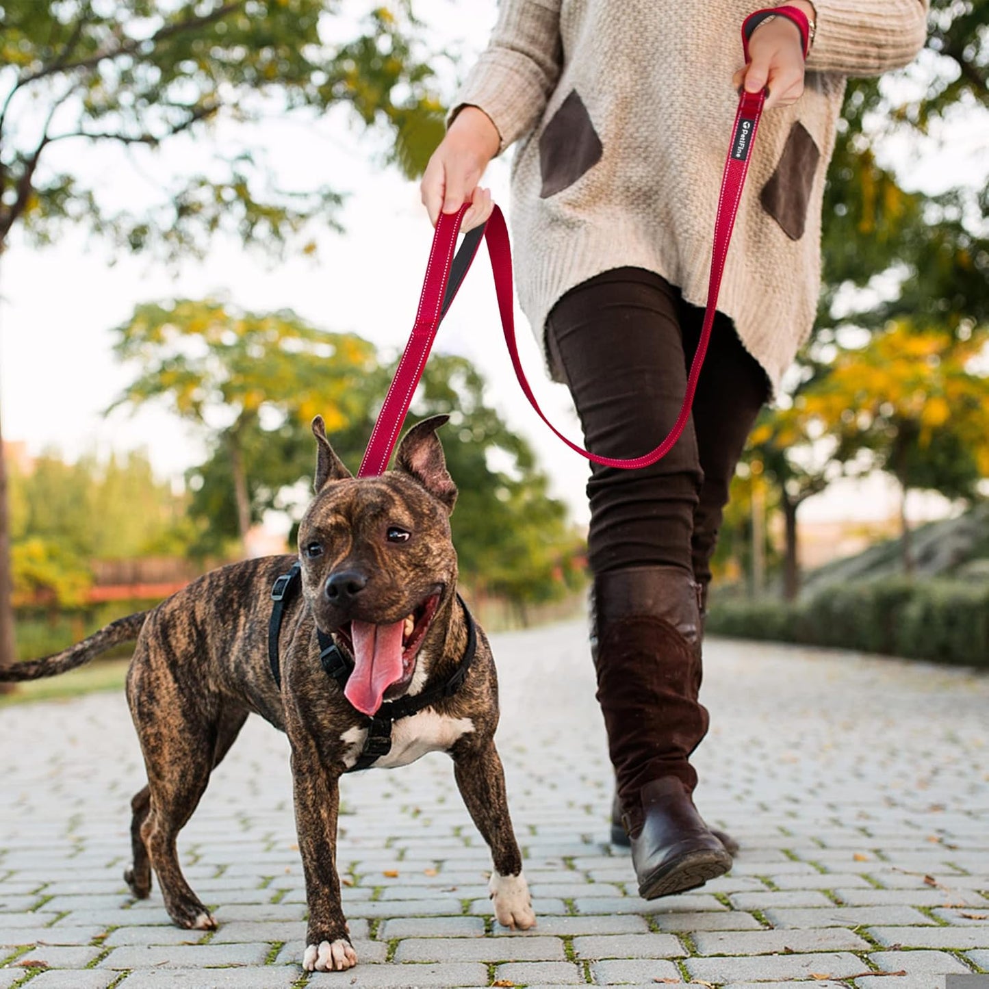 Petifine 4FT Heavy Duty Dog Leash with Soft Padded Double Handle, Durable Strong Clasp Dog Leashes, Reflective Nylon Walking Lead for Large,Medium,Small Breed Dogs, Red