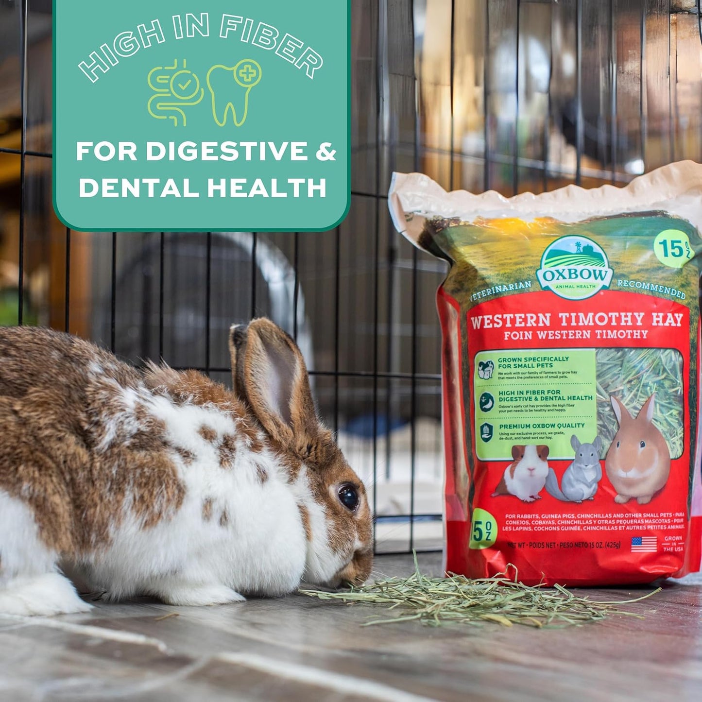 Oxbow Animal Health Western Timothy Hay, Guinea Pig Hay, Small Pet Bunny Supplies, All Natural Grass for Guinea Pig, Bunny, Chinchilla & Hamster, Oxbow Rabbit Supplies for Bunnies, 90 Oz. Bag
