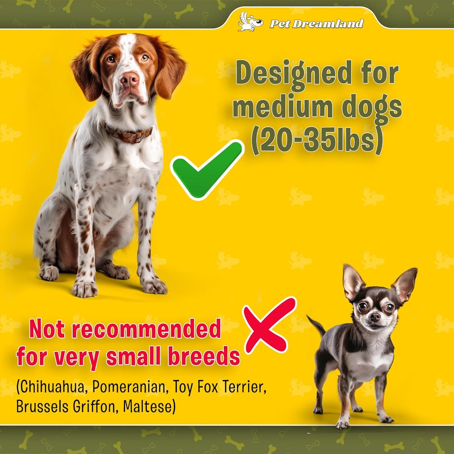 Pet Dreamland Exquisite Double Dog Leash Coupler with Tangle-Free Swivel. Premium & Versatile Attachment for Walking Two Dogs. You Will Absolutely Love This Amazing Dual Dog Coupler (Khaki & Orange)