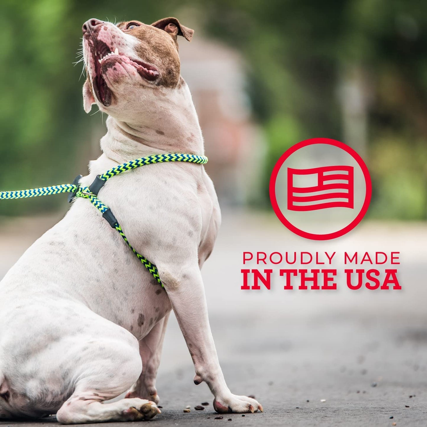 Harness Lead No Pull Dog Harness and Leash Set, anti Pull Dog Harness, One-Piece Cushioned Rope Safely Prevents Escaping and Pulling *New Insert Is Removable (Small/Medium, Red/Reflective)