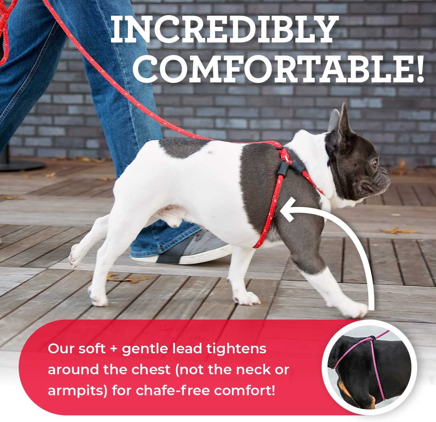 Harness Lead No Pull Dog Harness and Leash Set, anti Pull Dog Harness, One-Piece Cushioned Rope Safely Prevents Escaping and Pulling *New Insert Is Removable (Small/Medium, Red/Reflective)