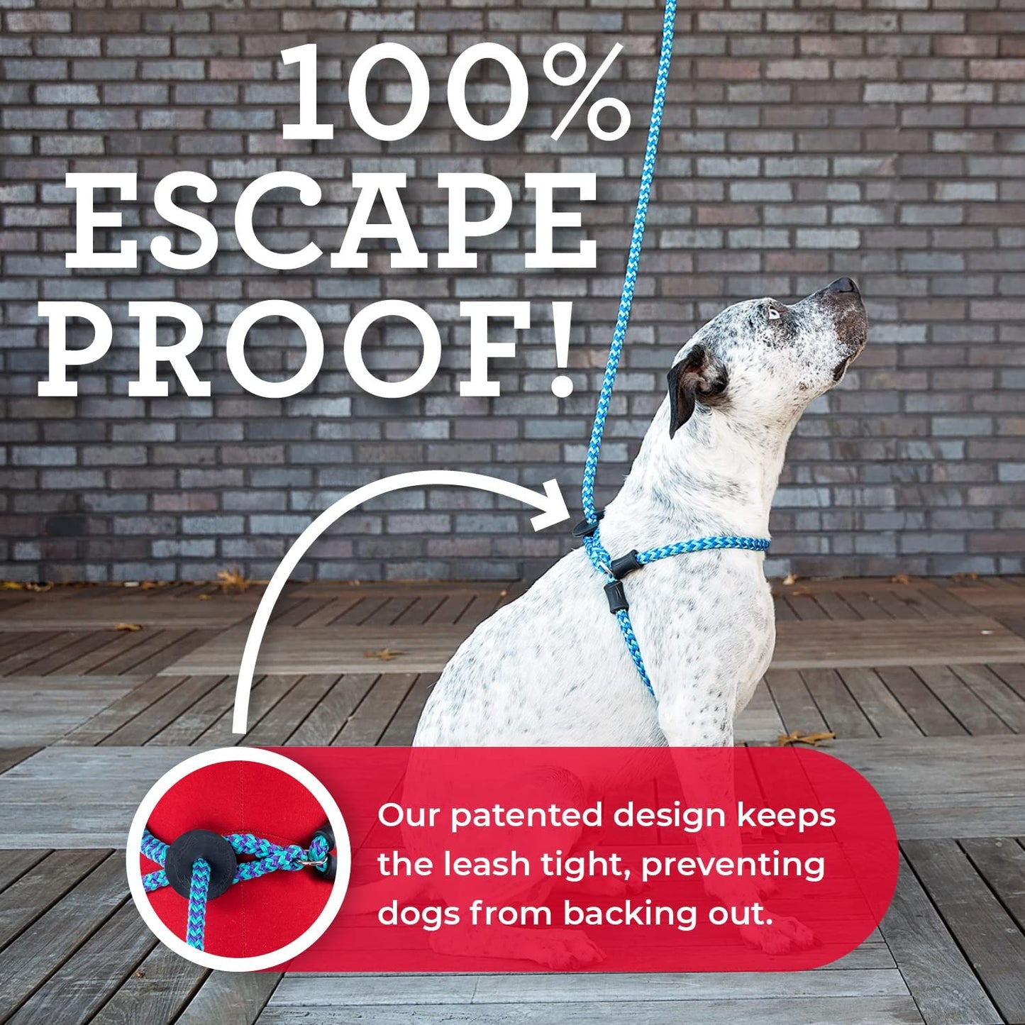Harness Lead No Pull Dog Harness and Leash Set, anti Pull Dog Harness, One-Piece Cushioned Rope Safely Prevents Escaping and Pulling *New Insert Is Removable (Small/Medium, Red/Reflective)