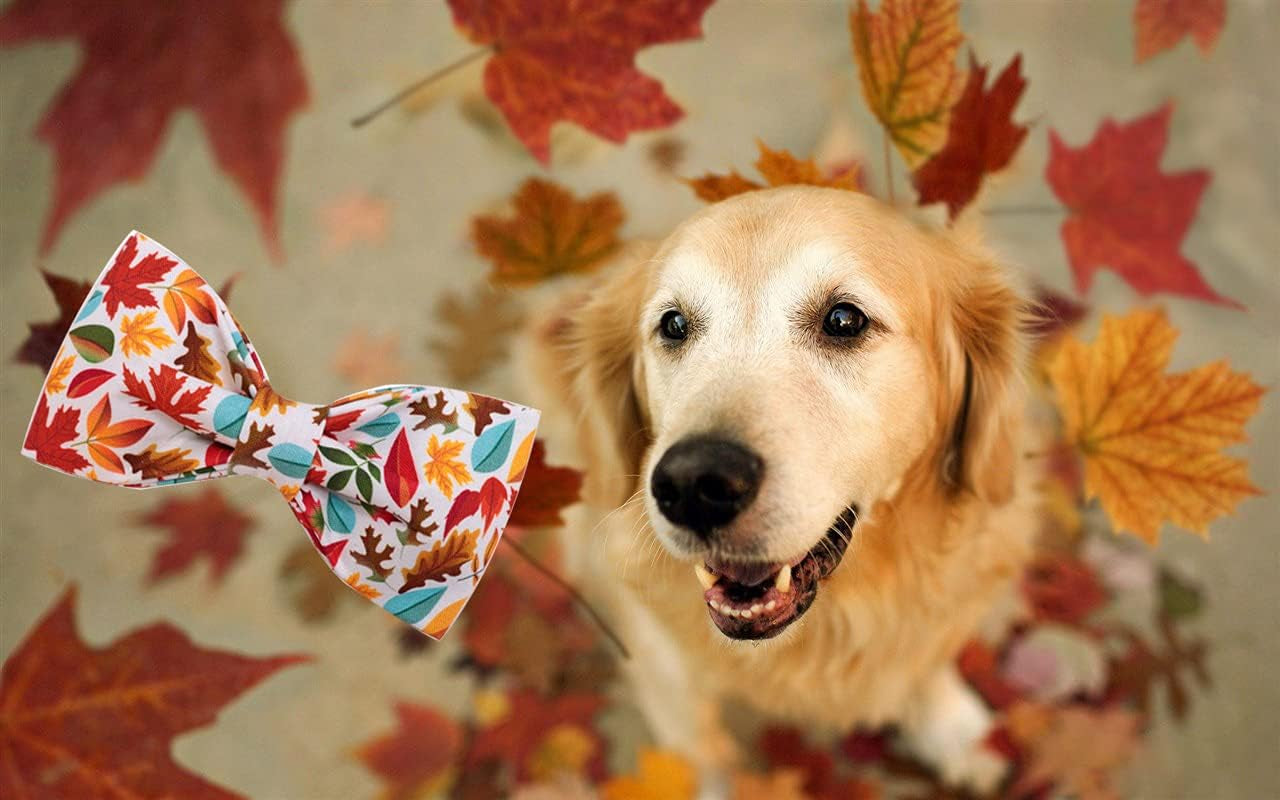 Elegant Little Tail Fall Dog Collar, Male or Female Dog Collar with Bow Adjustable Soft Bow Tie Dog Collars for Small Dogs