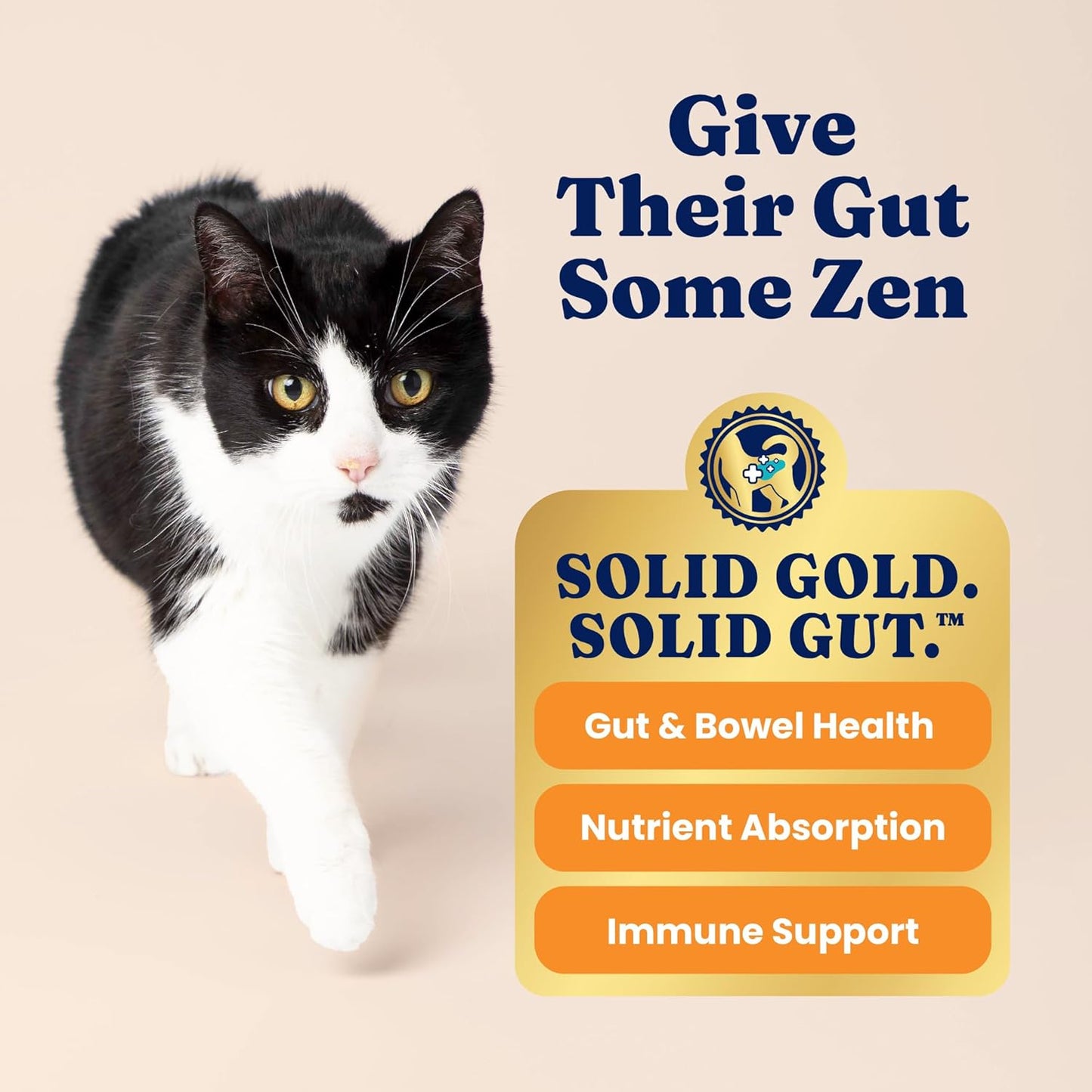 Solid Gold Indoor Dry Cat Food - Grain Free & Gluten Free - Chicken Cat Food Dry Kibble for Indoor Cats W/Probiotics & Fiber for Gut Health - Sensitive Stomach & Hairball Support for Adult Cats -12LB