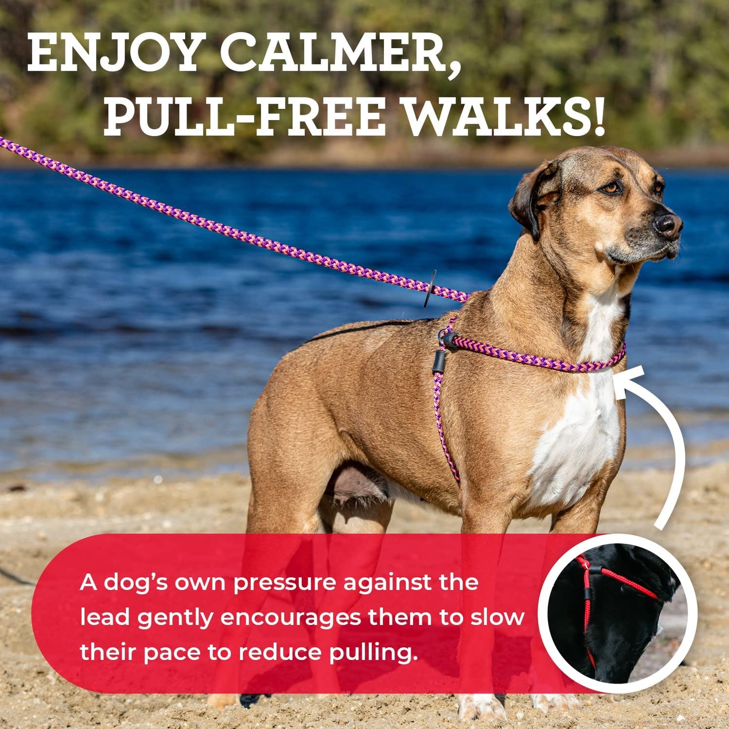 Harness Lead No Pull Dog Harness and Leash Set, anti Pull Dog Harness, One-Piece Cushioned Rope Safely Prevents Escaping and Pulling *New Insert Is Removable (Small/Medium, Red/Reflective)