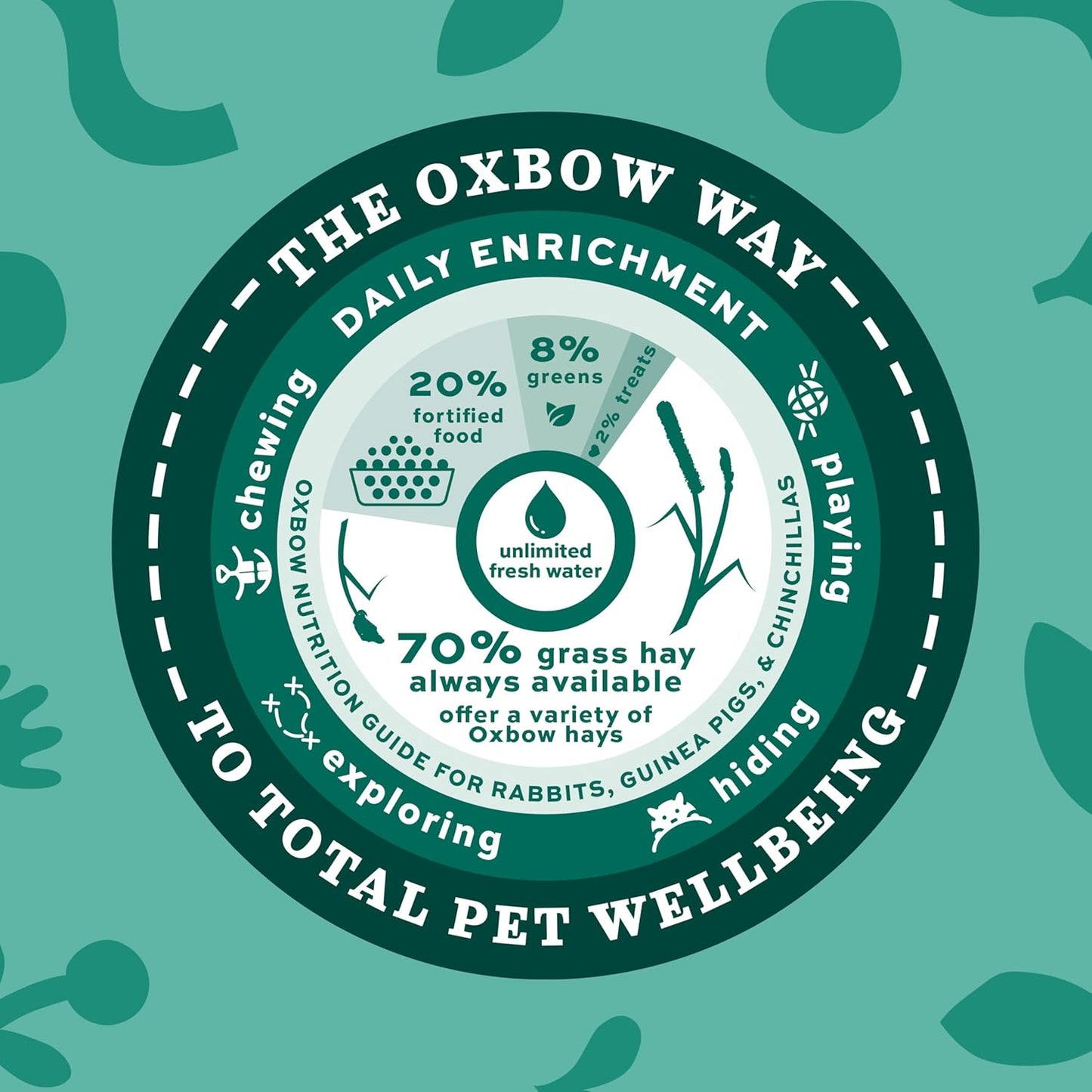Oxbow Animal Health Western Timothy Hay, Guinea Pig Hay, Small Pet Bunny Supplies, All Natural Grass for Guinea Pig, Bunny, Chinchilla & Hamster, Oxbow Rabbit Supplies for Bunnies, 90 Oz. Bag