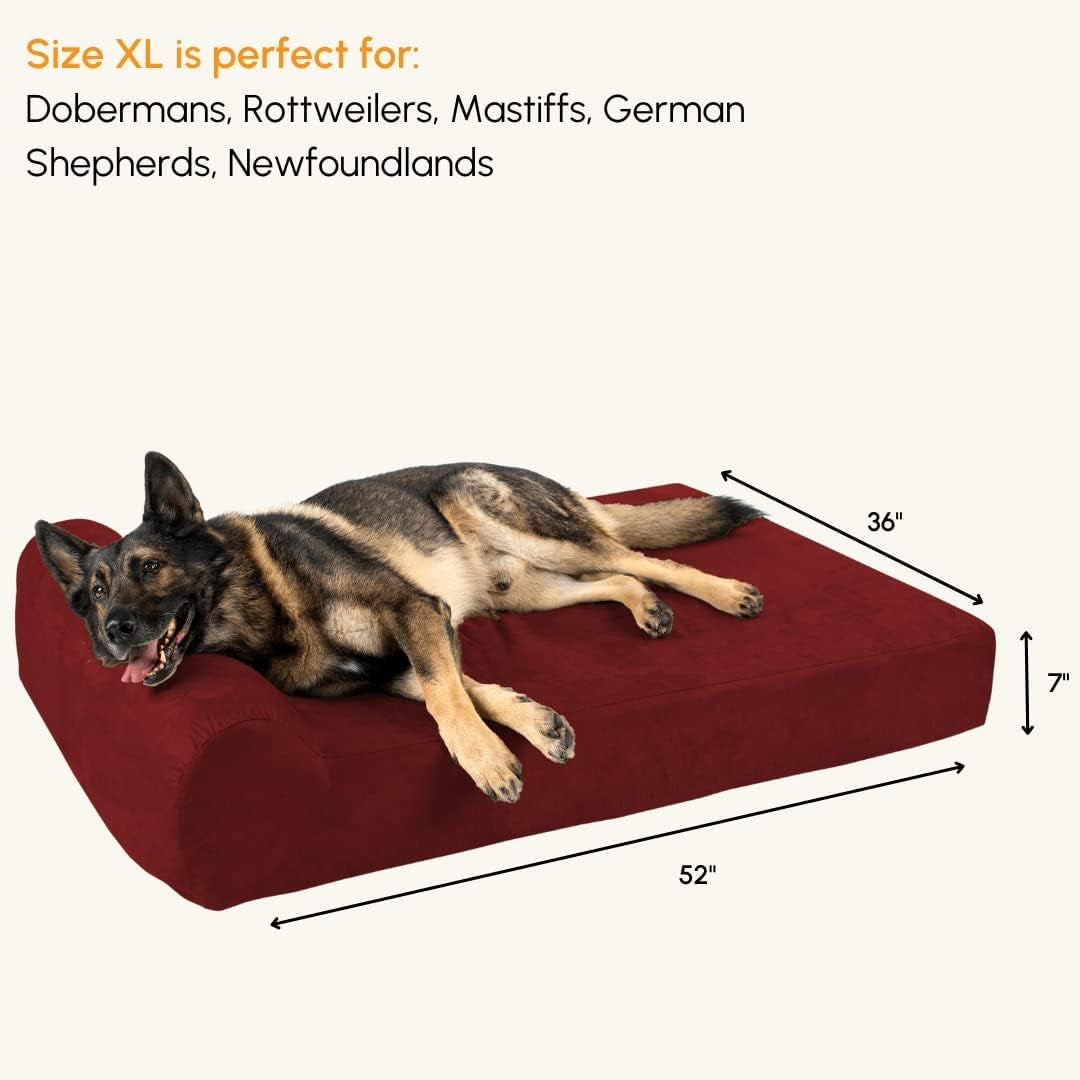 Big Barker 7" Pillow Top Orthopedic Dog Bed - XL Size - 52 X 36 X 7 - Burgundy - for Large and Extra Large Breed Dogs (Headrest Edition)