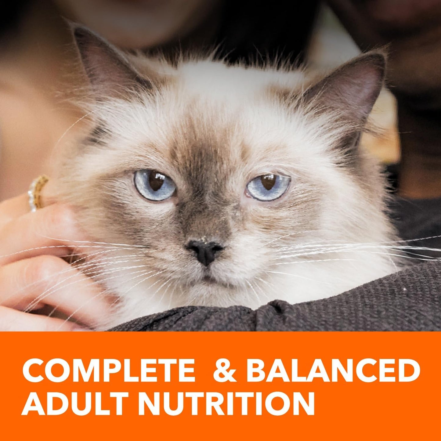IAMS Proactive Health Adult Healthy Dry Cat Food with Chicken, 22 Lb. Bag