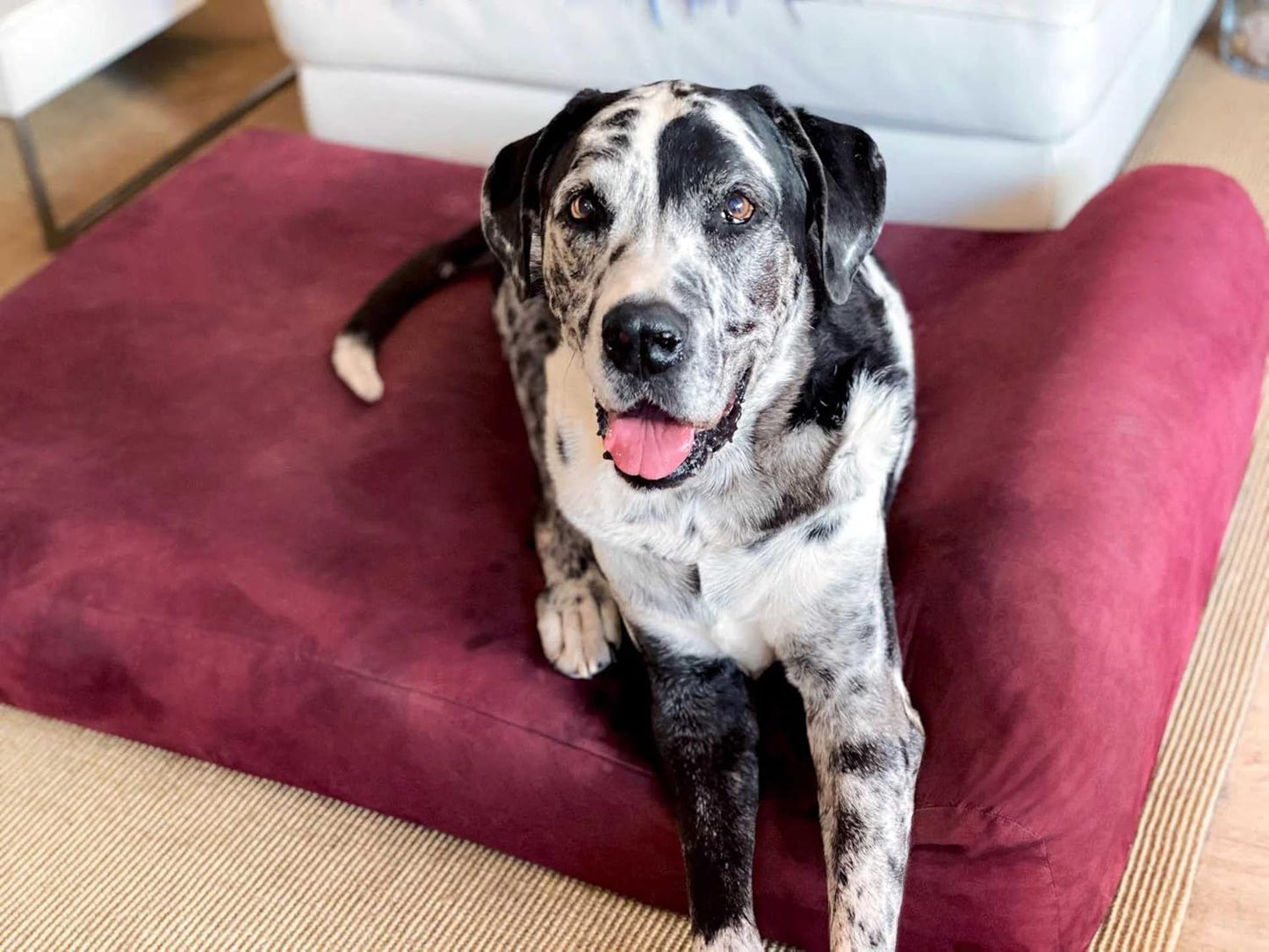 Big Barker 7" Pillow Top Orthopedic Dog Bed - XL Size - 52 X 36 X 7 - Burgundy - for Large and Extra Large Breed Dogs (Headrest Edition)