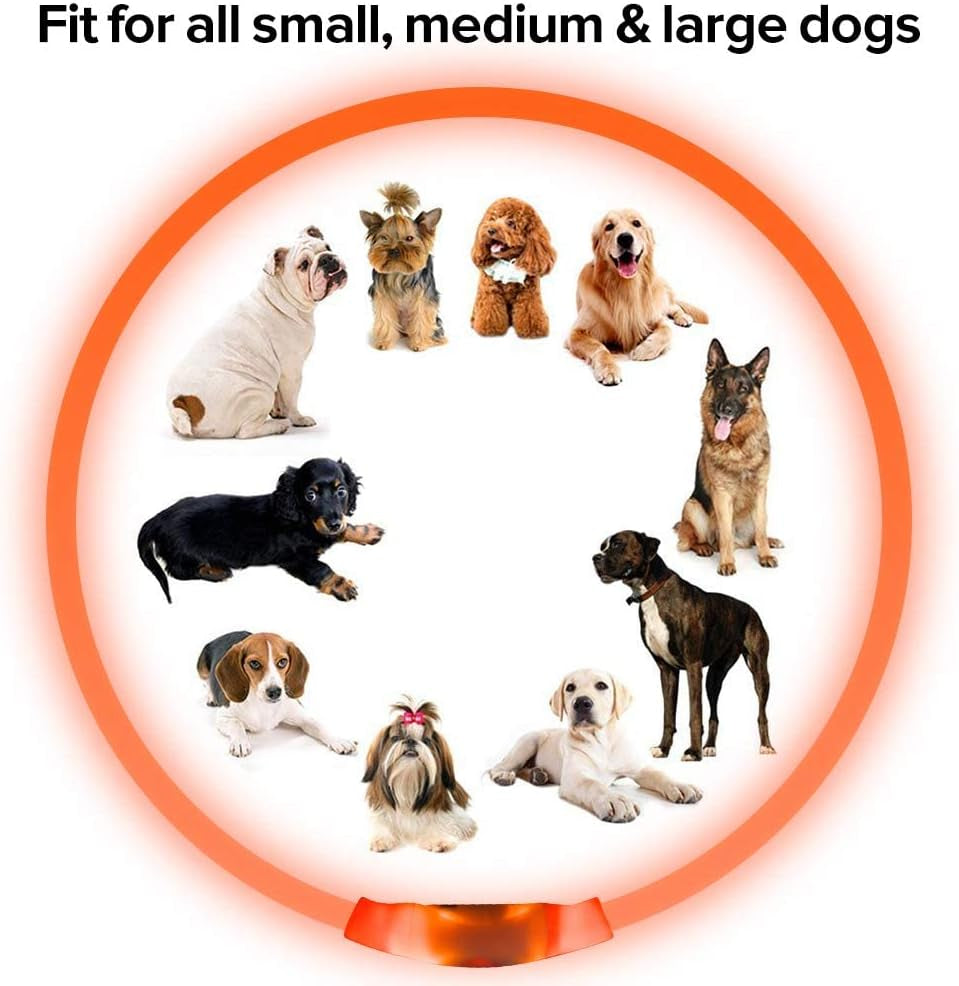 Illumifun LED Dog Collar, USB Rechargeable Light up Dog Collars, TPU Cuttable Glow Dog Collar Lights for Night Walking (Orange)