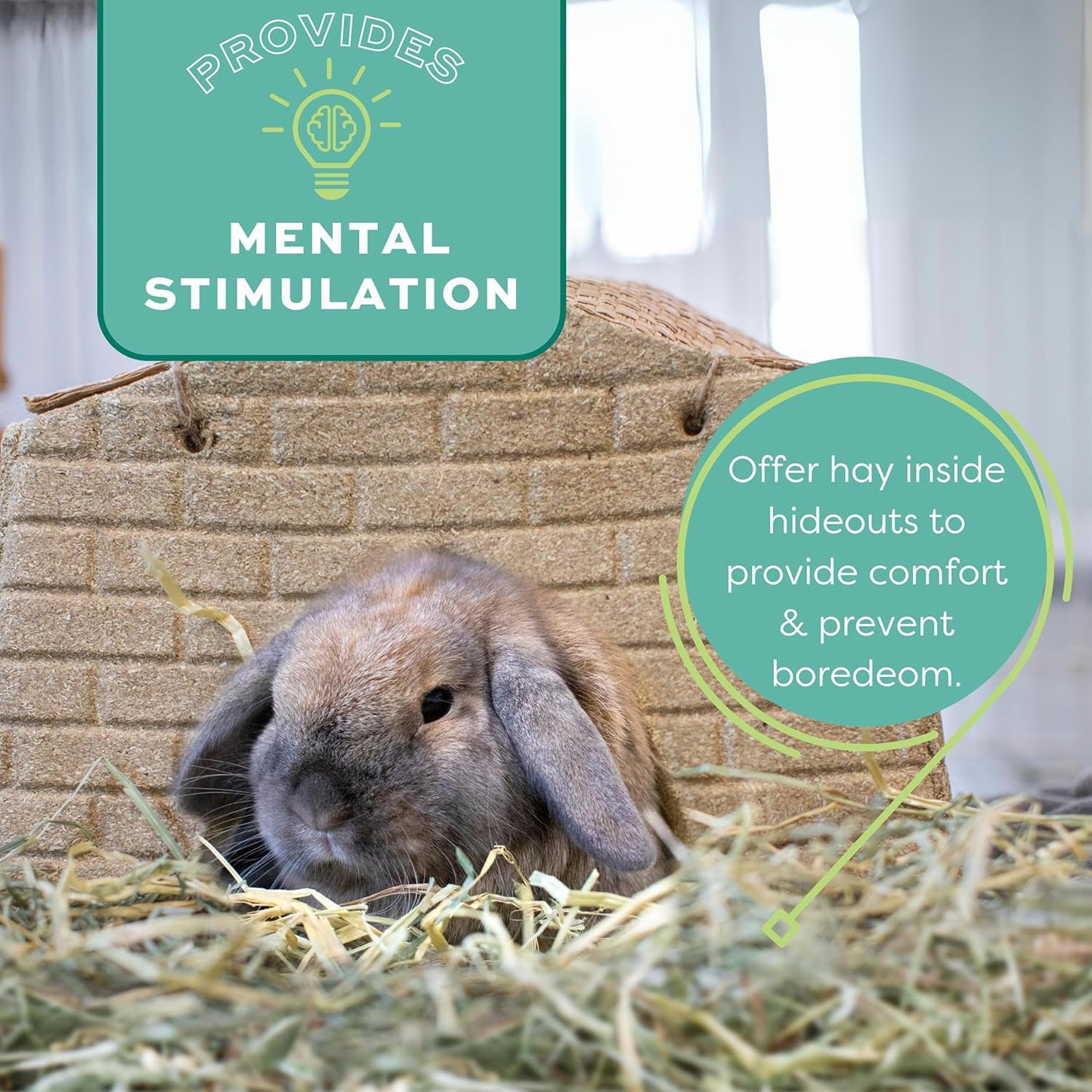 Oxbow Animal Health Western Timothy Hay, Guinea Pig Hay, Small Pet Bunny Supplies, All Natural Grass for Guinea Pig, Bunny, Chinchilla & Hamster, Oxbow Rabbit Supplies for Bunnies, 90 Oz. Bag