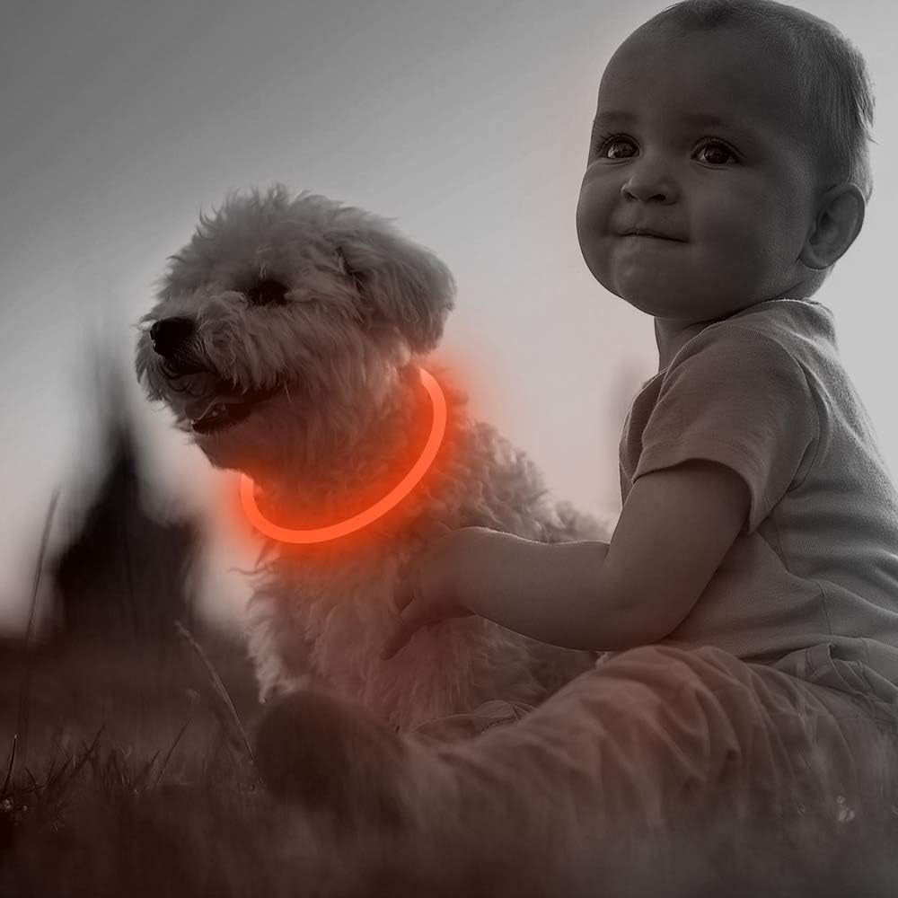 Illumifun LED Dog Collar, USB Rechargeable Light up Dog Collars, TPU Cuttable Glow Dog Collar Lights for Night Walking (Orange)