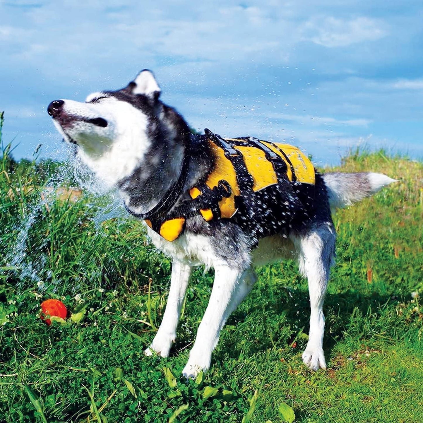 Ezydog DFD Dog Life Jacket - Adjustable Swimming Safety Vest with Reflective Trim & Durable Grab Handle - 50% More Flotation Material - Medium, Yellow