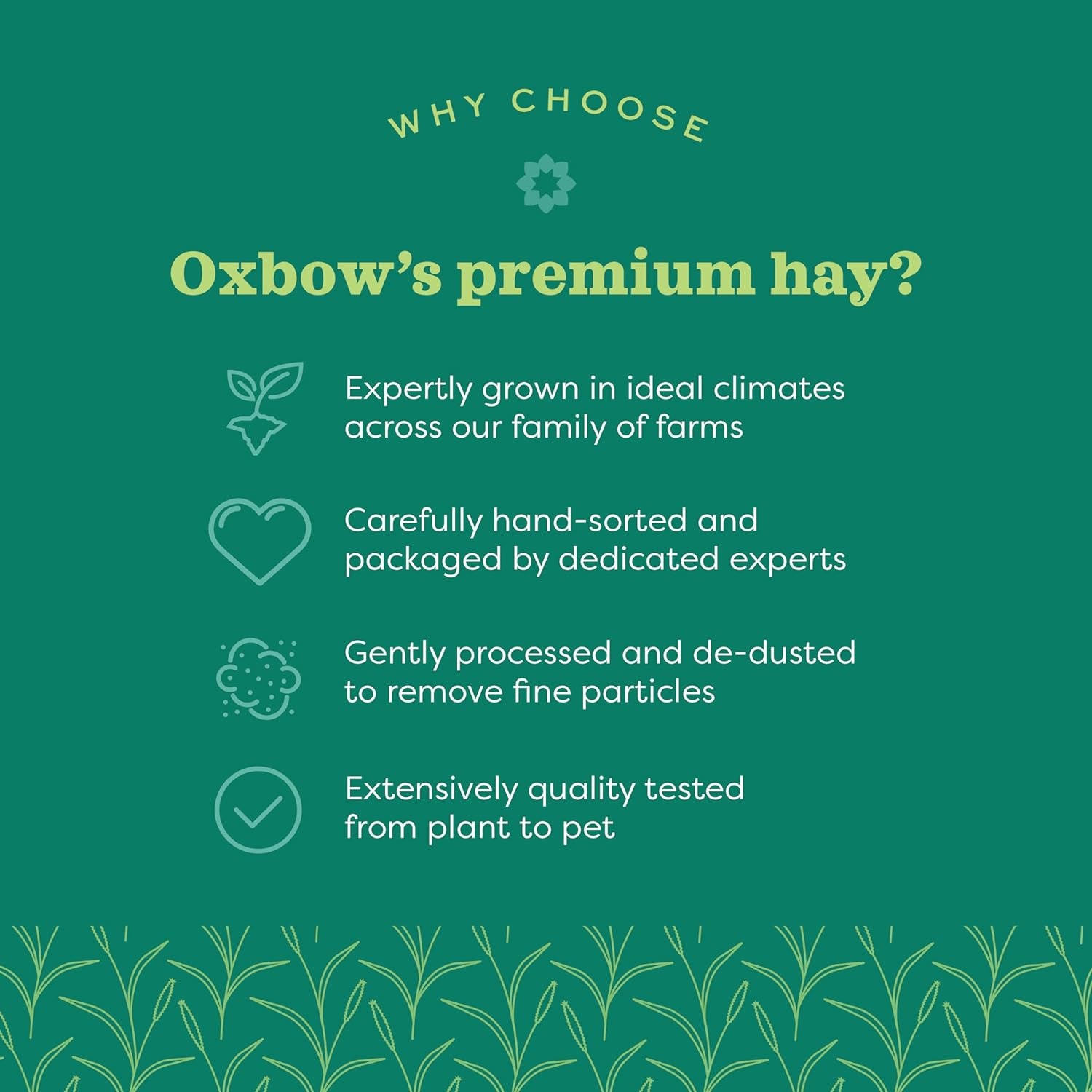 Oxbow Animal Health Western Timothy Hay, Guinea Pig Hay, Small Pet Bunny Supplies, All Natural Grass for Guinea Pig, Bunny, Chinchilla & Hamster, Oxbow Rabbit Supplies for Bunnies, 90 Oz. Bag