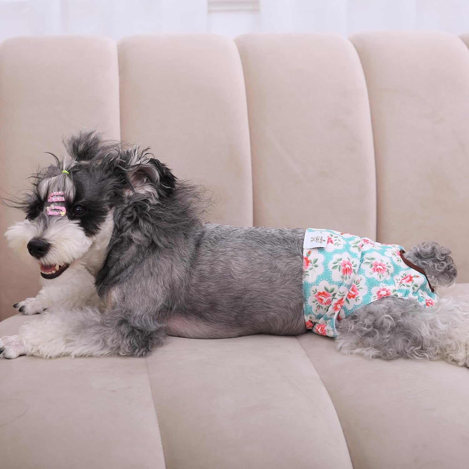 Cutebone Dog Diapers Female Washable Small Medium Large 3 Pack Reusable Doggie Diapers Puppy Period Pants for Doggy Heat Cycle Peeing D14XS