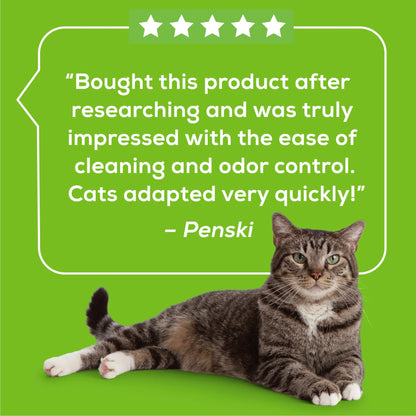 (10 Pack)   Breeze Bright Lemongrass Scented Ion Cat Litter Pads Refill Pack