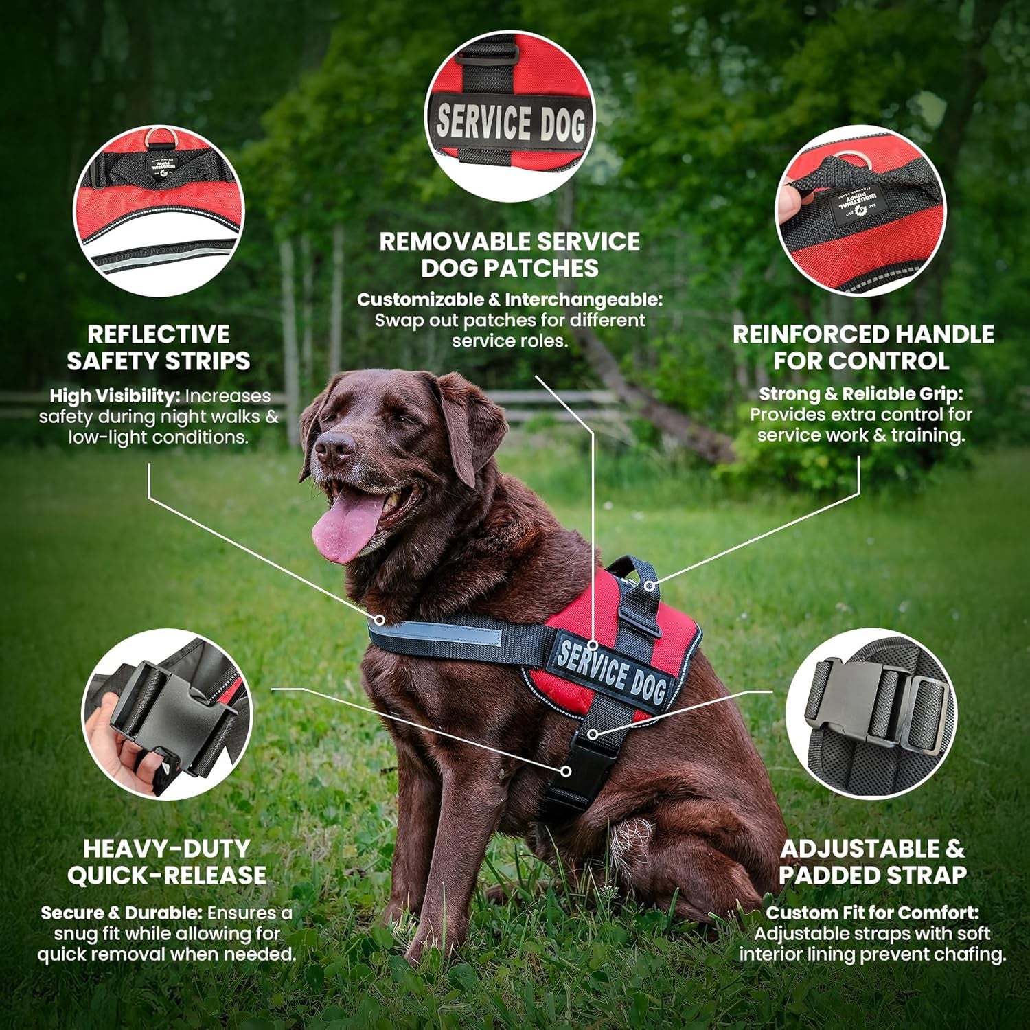 Industrial Puppy Service Dog Vest with Hook and Loop Straps and Matching Service Dog Leash Set - Harnesses from XXS to XXL - Harness Features Reflective Patch and Comfortable Mesh Design