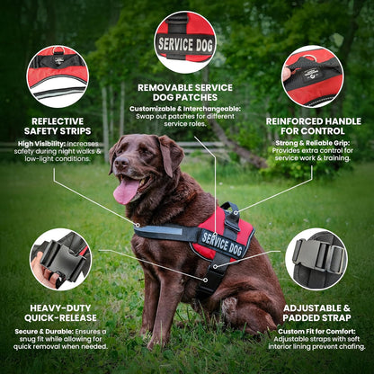 Industrial Puppy Service Dog Vest with Hook and Loop Straps and Matching Service Dog Leash Set - Harnesses from XXS to XXL - Harness Features Reflective Patch and Comfortable Mesh Design