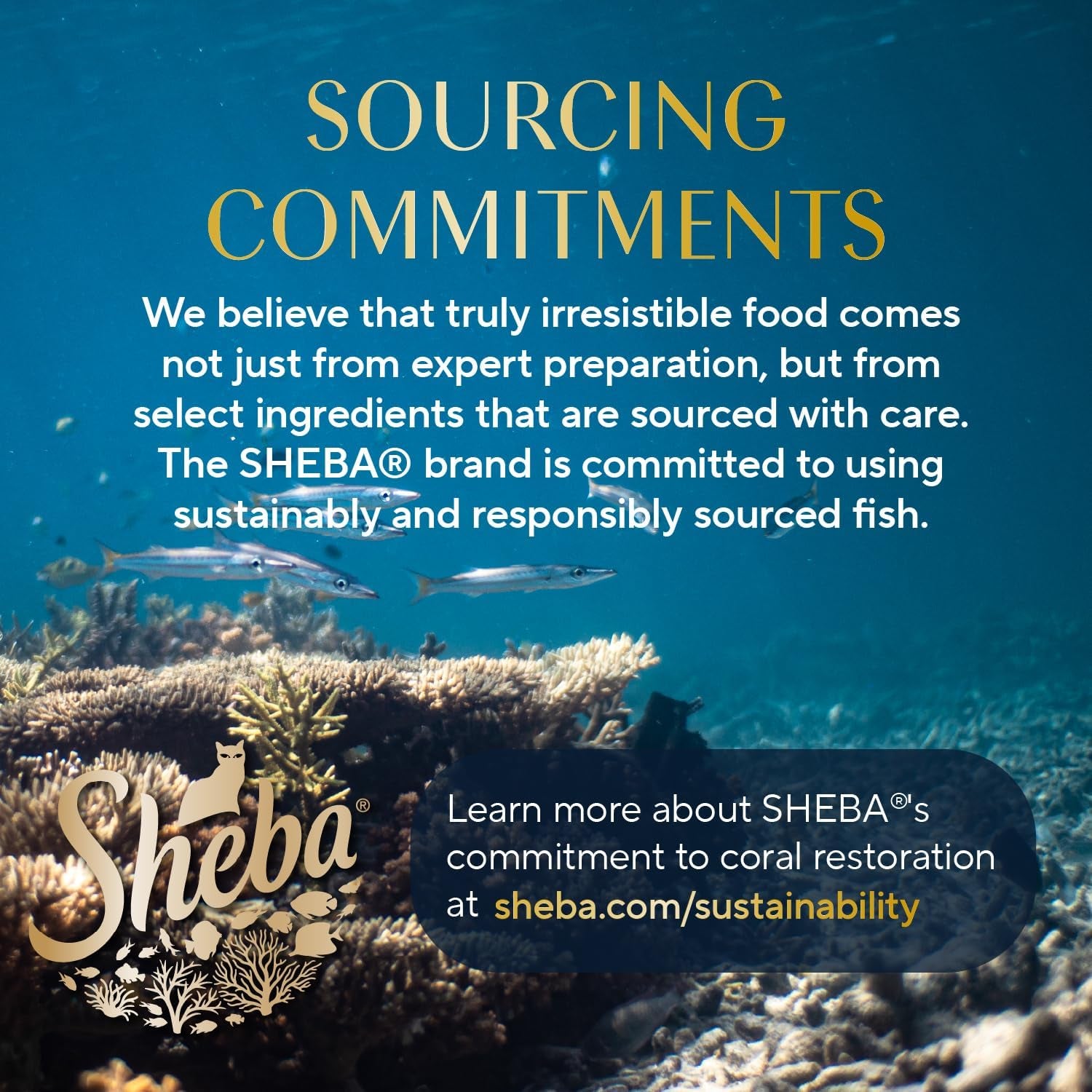 Sheba Perfect Portions Wet Cat Food Pate with Sustainable Salmon, Signature Seafood Entree, and Tender Whitefish and Tuna Entree Variety Pack, 2.6 Oz. Twin Pack Trays (24 Count, 48 Servings)