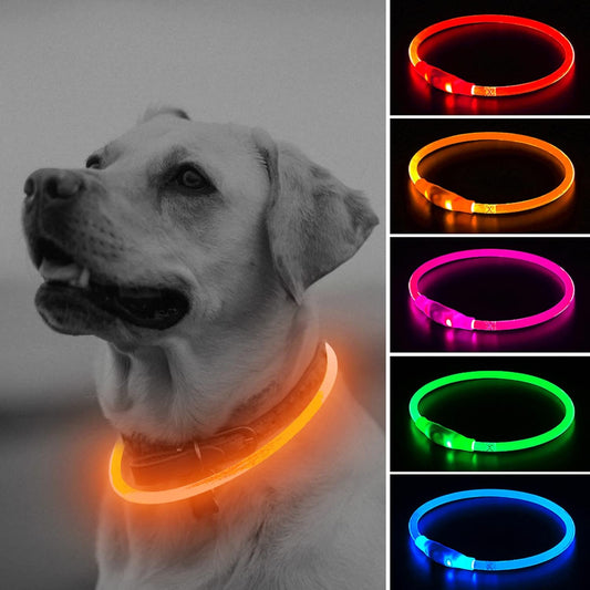 Illumifun LED Dog Collar, USB Rechargeable Light up Dog Collars, TPU Cuttable Glow Dog Collar Lights for Night Walking (Orange)