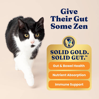 Solid Gold Indoor Dry Cat Food - Grain Free & Gluten Free - Chicken Cat Food Dry Kibble for Indoor Cats W/Probiotics & Fiber for Gut Health - Sensitive Stomach & Hairball Support for Adult Cats -12LB