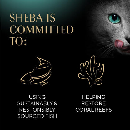 Sheba Perfect Portions Wet Cat Food Pate with Sustainable Salmon, Signature Seafood Entree, and Tender Whitefish and Tuna Entree Variety Pack, 2.6 Oz. Twin Pack Trays (24 Count, 48 Servings)