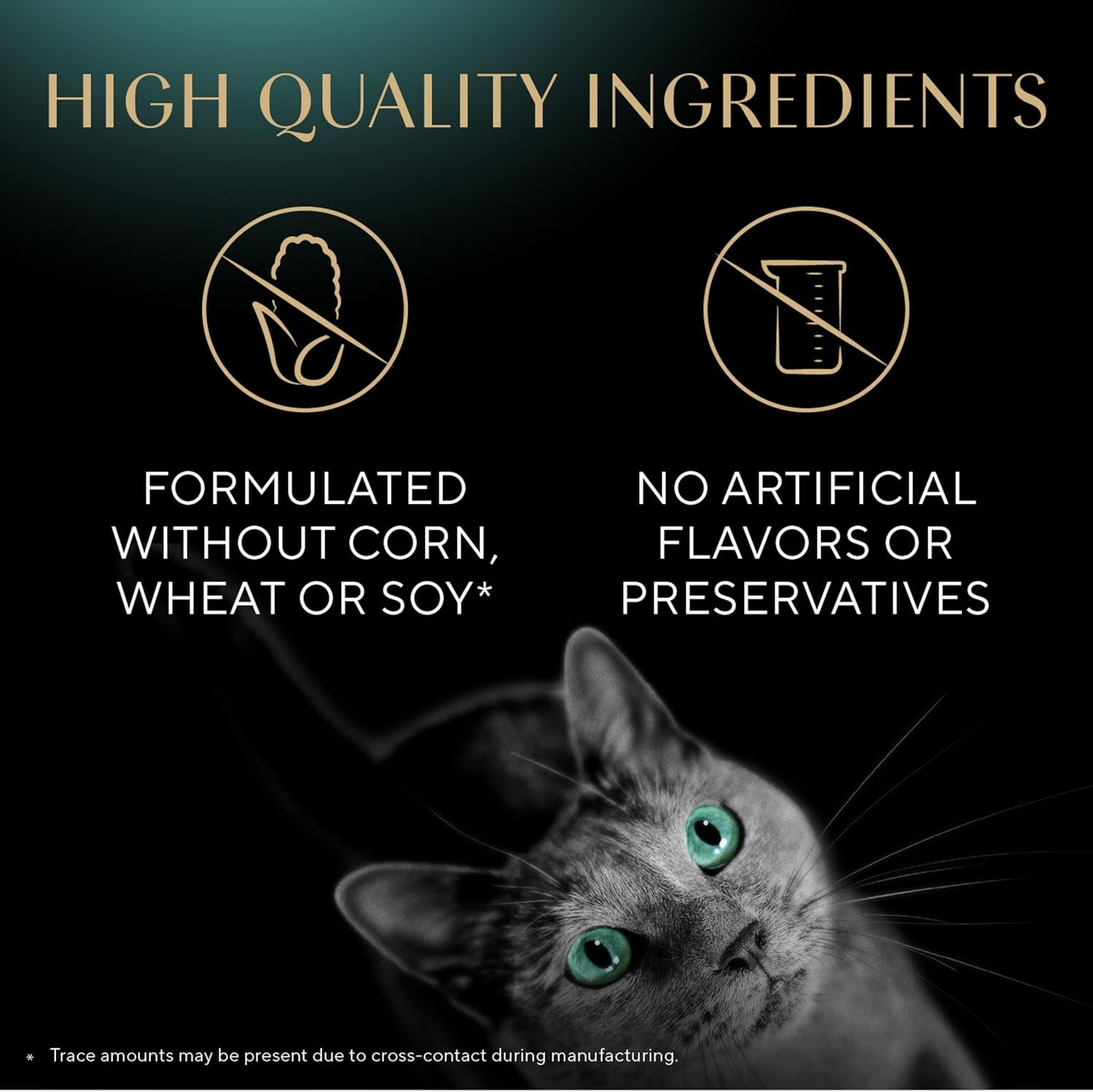 Meaty Tender Sticks Soft Cat Treats Salmon Flavor, 0.14 Oz., 5 Sticks, Pack of 10 (50 Sticks Total)