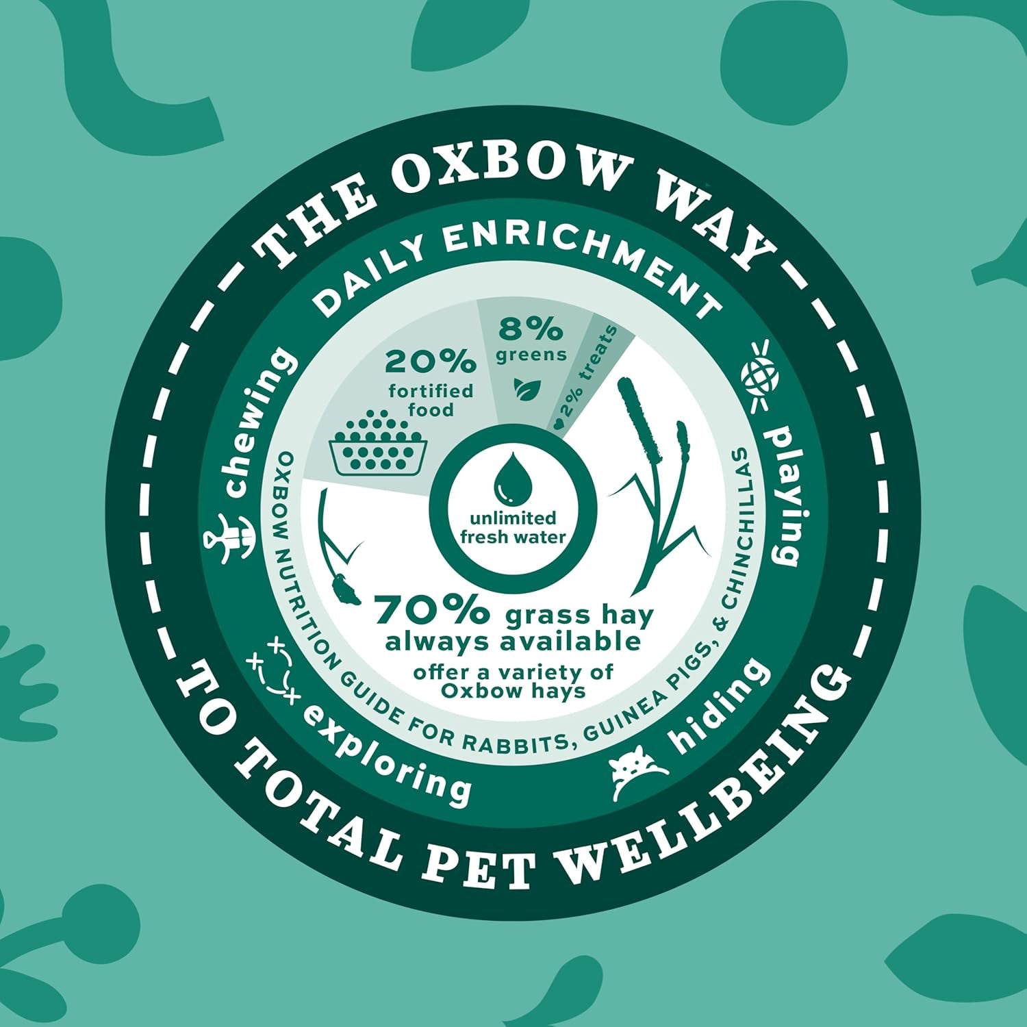 Oxbow Animal Health Western Timothy Hay, Guinea Pig Hay, Small Pet Bunny Supplies, All Natural Grass for Guinea Pig, Bunny, Chinchilla & Hamster, Oxbow Rabbit Supplies for Bunnies, 90 Oz. Bag