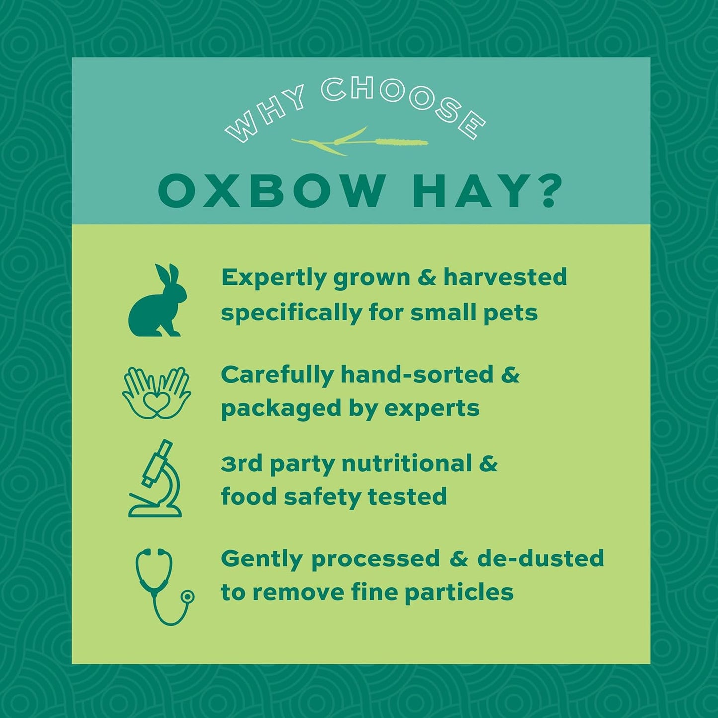 Oxbow Animal Health Western Timothy Hay, Guinea Pig Hay, Small Pet Bunny Supplies, All Natural Grass for Guinea Pig, Bunny, Chinchilla & Hamster, Oxbow Rabbit Supplies for Bunnies, 90 Oz. Bag