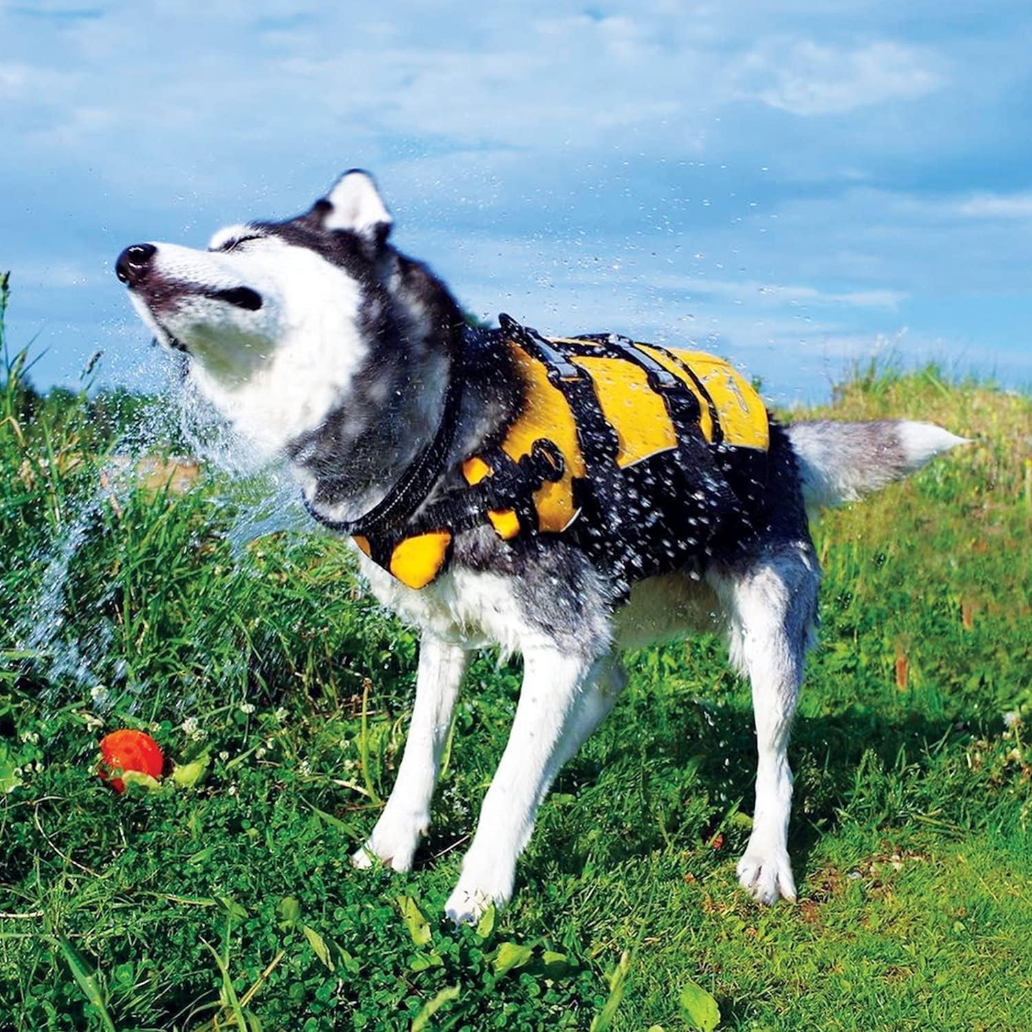 Ezydog DFD Dog Life Jacket - Adjustable Swimming Safety Vest with Reflective Trim & Durable Grab Handle - 50% More Flotation Material - Small, Red
